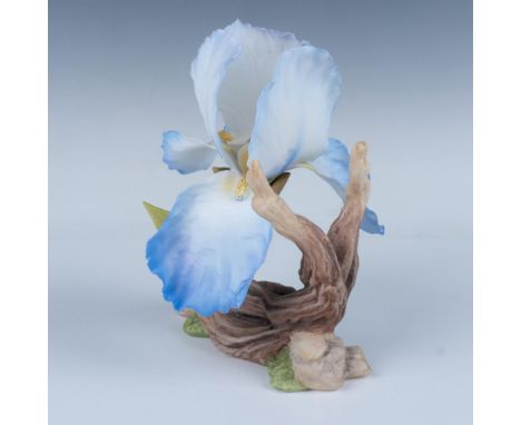 A vibrant blue iris flower blooms elegantly above a tree root that emerges gracefully from the ground. Boehm backstamp. Marke