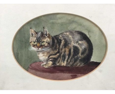 Lucy Hargreaves, watercolour painting of a tabby cat, oval, 11 x 14cm, glazed frame