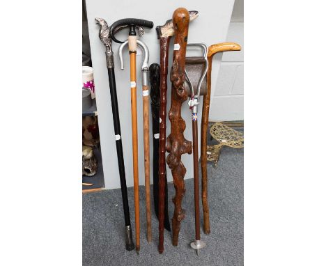 A Rootwood Walking Stick, by repute formerly owned by Sir Harry Lauder, together with two shooting sticks, four other walking