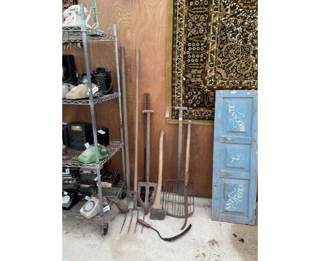 AN ASSORTMENT OF VINTAGE GARDEN TOOLS TO INCLUDE A PEAT SPADE, AN AXE, TWO BILL HOOKS AND A DITCHING FORK ETC 