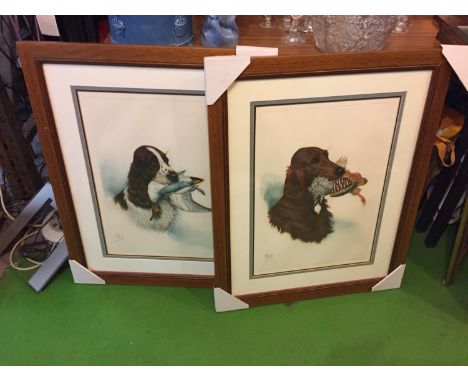 TWO FRAMED PRINTS OF GUN DOGS BY RIAL 
