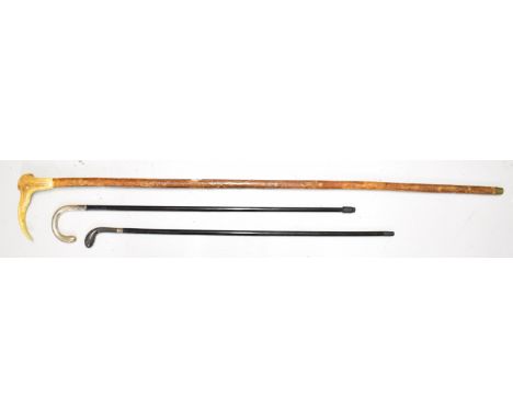 Three walking sticks including Sunday&nbsp;Golfing stick with horn handle, ebonised cane with white metal handle (marks rubbe