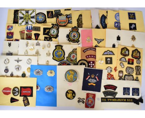 Collection of approximately 200 British Army and other countries cap badges, proficiency badges, divisional patches, includin