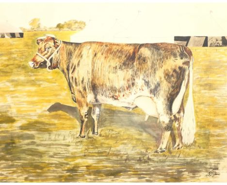 R Farl (British mid 20th century): Portrait of a Dairy Cow, watercolour and ink signed and dated 1935, 50cm x 63cm - Conditio