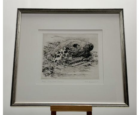 Timothy John Greenwood (British 1947-), Grey Seal (Islay), etching, 14/100, signed and titled in pencil, framed. (19cmx21cm)
