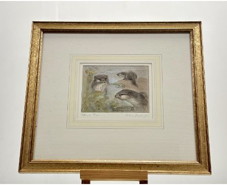 Peter Partington (British 1941-), Otters, coloured etching 62/200, signed and titled in pencil, framed. (plate 12.5cmx16cm)