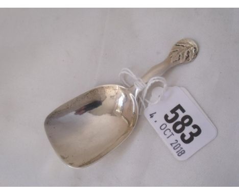 Exeter Vic. caddy spoon with leaf terminal     