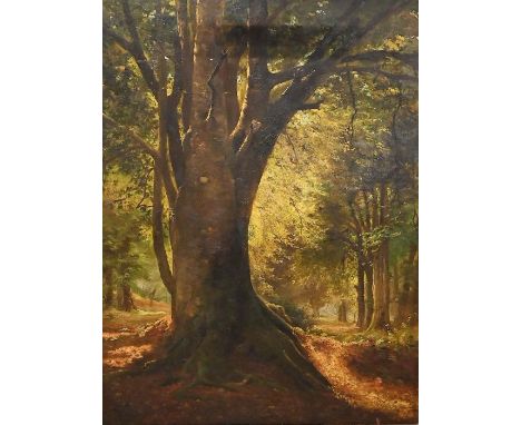 John Emmanuel Jacobs (British, 19th Century) A Sunlit forest landscape oil on canvas painting in a good quality gilt frame wi