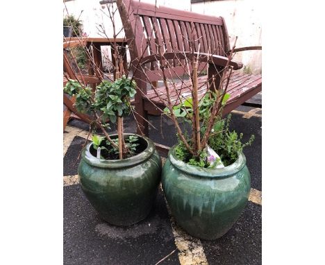 Pair of green ceramic planters with free fuschias