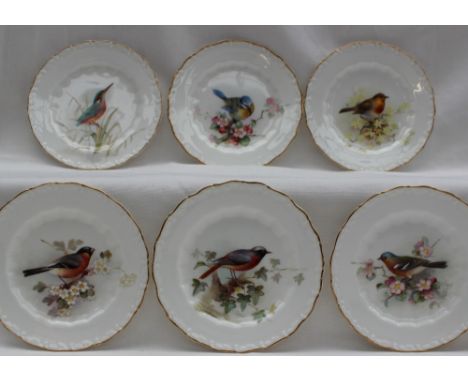 A set of six Royal Worcester plates, each painted with a single bird, signed W Powell including a Robin, Blue Tit, Kingfisher
