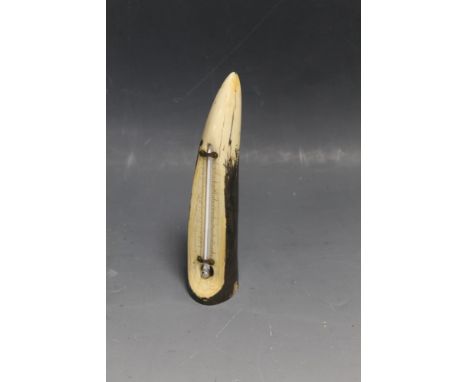 AN IVORY TUSK, converted for use as a thermometer