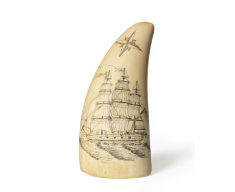 A Documentary Scrimshaw Decorated Whale's Tooth, dated 1836, incised with a three-masted vessel and the points of the compass