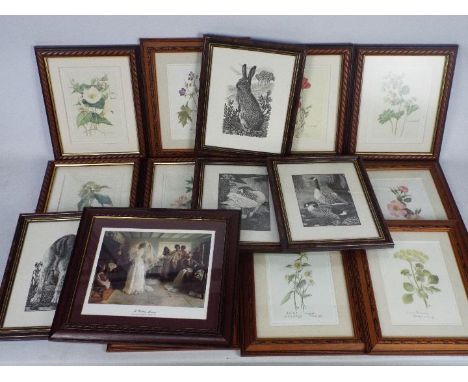 A collection of framed prints comprising floral studies and animals.