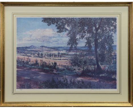 * JAMES MCINTOSH PATRICK LLD RSA ROI ARE (SCOTTISH 1907 - 1998), UNTITLED limited edition print, signed and numbered 264/850 