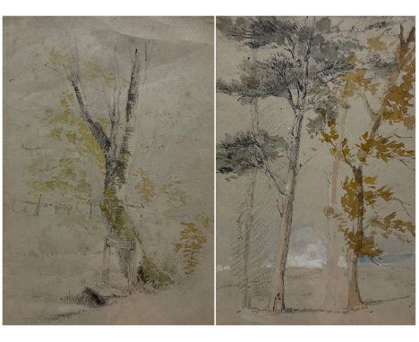 Peter de Wint (British 1784-1849): Tree Portrait, pair watercolours framed as one, signed and inscribed verso, each 26cm x 18