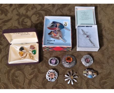 Small collection of Scottish Celtic brooches and plumes.