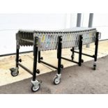 BestFlex Accordian Type Roller Conveyor