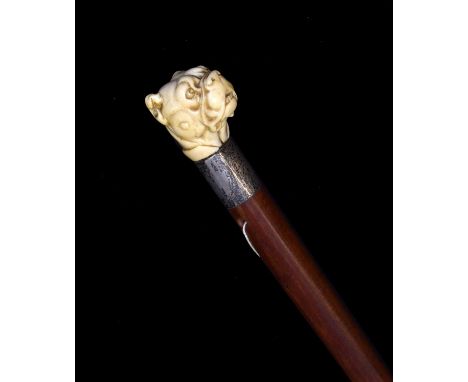 George V silver and carved ivory-mounted malacca walking stick or cane, with well-modelled bulldog or bull mastiff dog head h