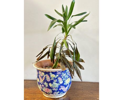 A modern Chinese planter with sea blue ground and all over chrysanthemum decoration no signs of cracks, damage or repairs wit