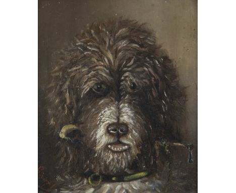 Oil on zinc panel portrait of a Barbet hunting dog, France, 19th centuryOlie op zinken paneel portret van een Barbet jachthon