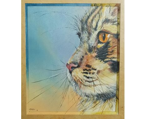 Michele Becker - Regard de chat, No 4, portrait of a tortoishell cat, watercolour and pencil on paper, signed and dated 96, f