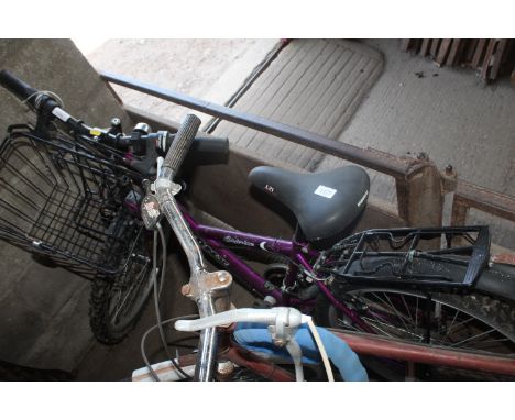A girl Bronx mountain bike