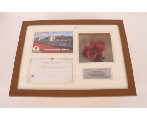 A Paul Cummins ceramic poppy from the Tower of London display 2014, framed and glazed with certificate