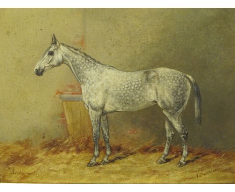 ‡HENRY FREDERICK LUCAS-LUCAS (1848-1943)'Bridesmaid', a dappled grey horse in a stablesigned and dated 'H.F. Lucas-Lucas, 190