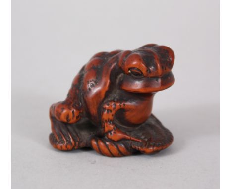 A GOOD JAPANESE MEIJI PERIOD CARVED WOODEN NETSUKE OF A TOAD ON A SANDAL, possibly the work of masanao, the eyes previously i