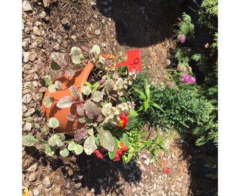 Small round planter