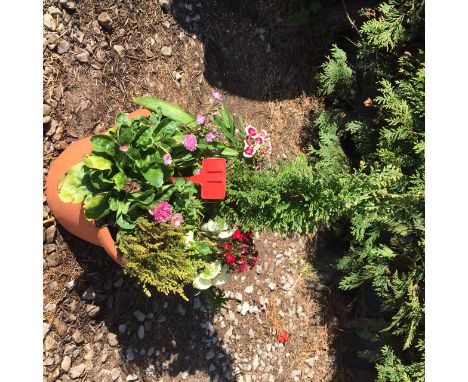 Small round planter 