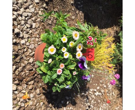Small round planter