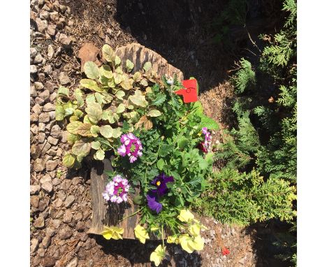 Log planter