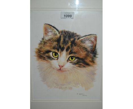 Late 20th Century acrylic, portrait of a cat, 11ins x 9ins