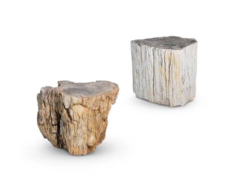 A PAIR OF PART POLISHED PETRIFIED WOOD STOOLS Each trunk sliced in cross section, with textured edges 42cm high, 56cm wide, a