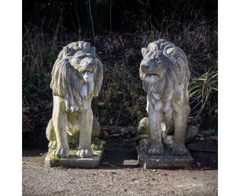 A PAIR OF COMPOSITION STONE MODELS OF SEATED LIONS  MODERN  95cm high, bases 38.5cm wide, 67cm deep    Condition Report:  Wea