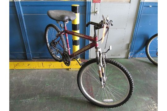 timber pacific mountain bike