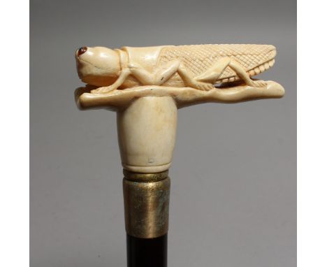 A WALKING STICK with bone handle, "LOCUST". 33ins long.