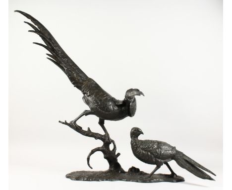 ANTON BUSCHELBERGER (1869-1934) GERMAN A LARGE BRONZE OF TWO PHEASANTS. Signed. 31ins high.