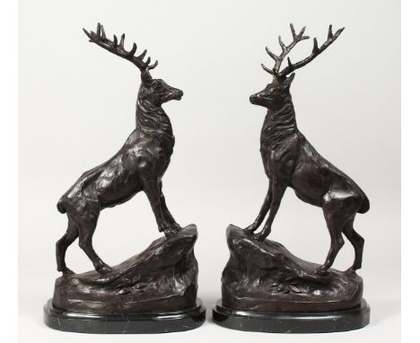 AFTER J. MOIGNIEZ A PAIR OF BRONZE STAGS on marble bases. 16ins high.