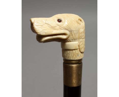 A WALKING STICK with bone handle, DOG. 33ins long.