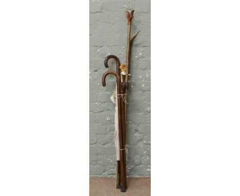 A bundle of walking sticks including one with antler terminal along with a thumb stick and an umbrella.