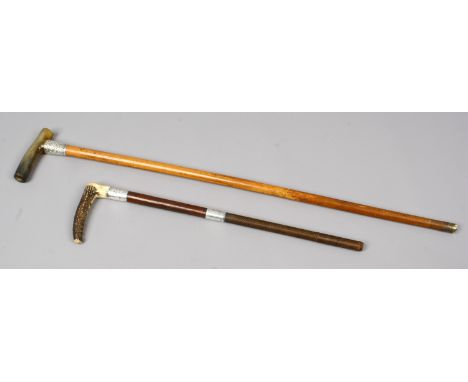 A Malacca walking stick with silver collar and horn grip and the handle of a whippers in whip with silver mount.