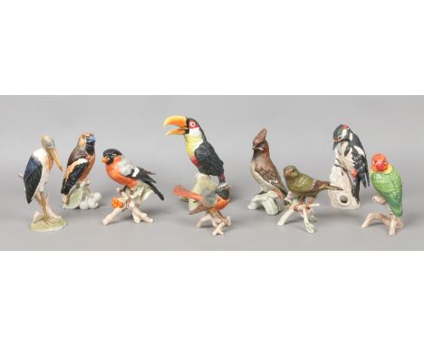 Nine Goebel Coloured bisque models of birds; green billed Toucan, great spotted Woodpecker, Lovebird, Bullfinch, Marabu, Hawf