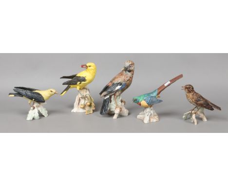 Five large Goebel coloured bisque models of birds; Jay, two Golden Oriole, Royal Straling and Song Thrush.