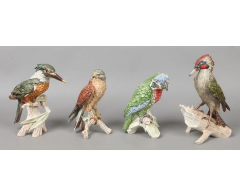 Four large Goebel coloured bisque models of birds; Kingfisher, Parrot, Green Woodpecker and Falcon.