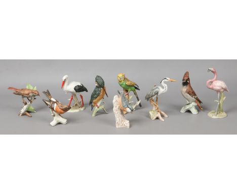 Nine Goebel coloured bisque models of birds, Nightingale, Waxwing, Nuthatch, grey Heron, Flamingo, Kingfisher, White Stork, B