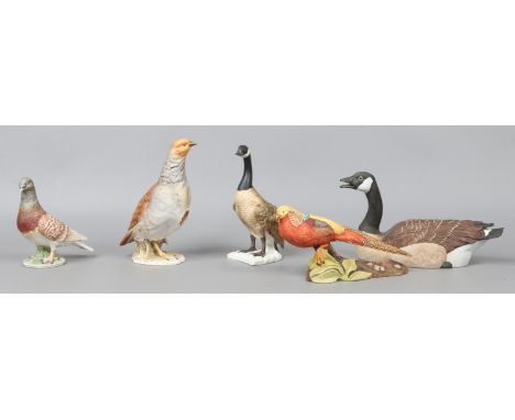 Five large Goebel coloured bisque models of birds; two Canada Goose, Golden Pheasant, Grey Partridge and Carrier Pigeon.