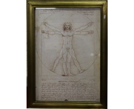 After Leonardo da Vinci. A gilt framed monochrome sepia print 'The Vitruvian Man'.