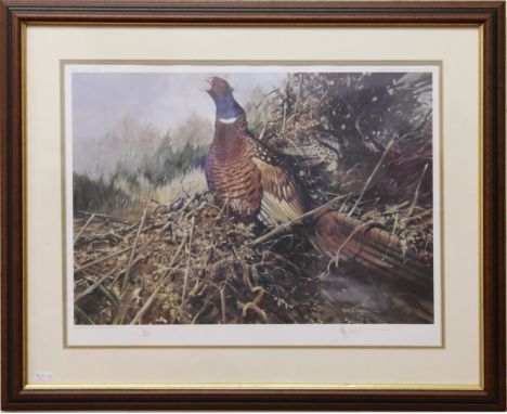 Alan B Hayman mahogany framed limited edition signed print 'pheasants in woodland setting' 82/450.
